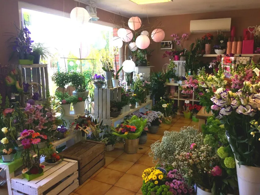 Boutique de fleuriste colorée avec compositions florales et suspensions